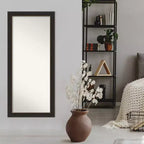 Miroir pleine longueur à poser, bronze Accent, 29 x 65 po