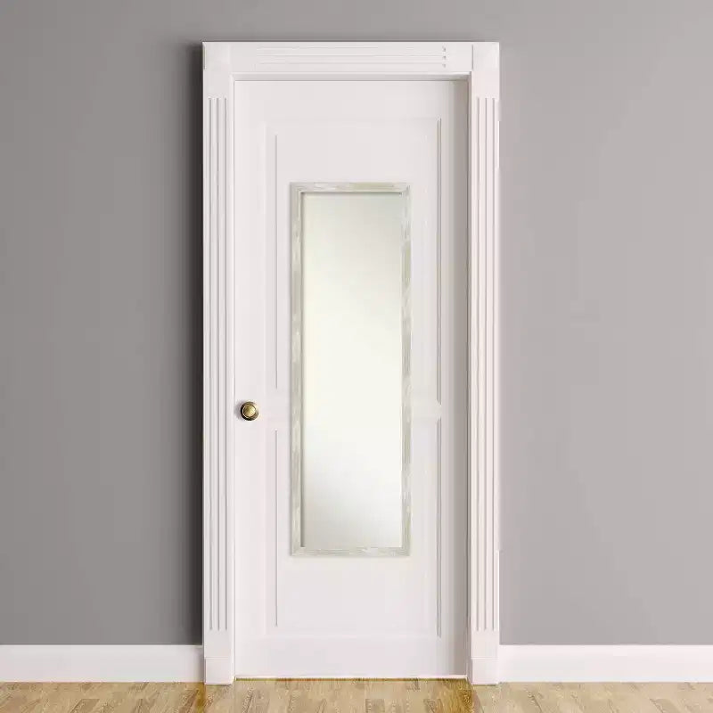 16" x 50" Crackled Narrow Framed Full Length on the Door Mirror Metallic - Polystyrene, No Assembly Required