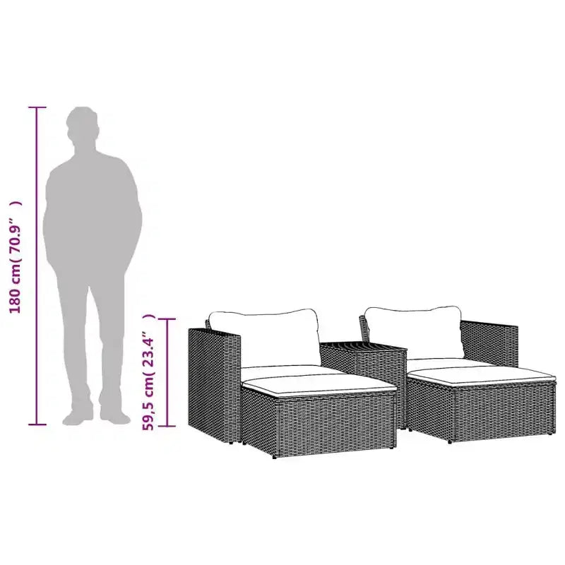 vidaXL Ensemble de canapés de jardin avec coussins 5 pièces en rotin synthétique et acacia