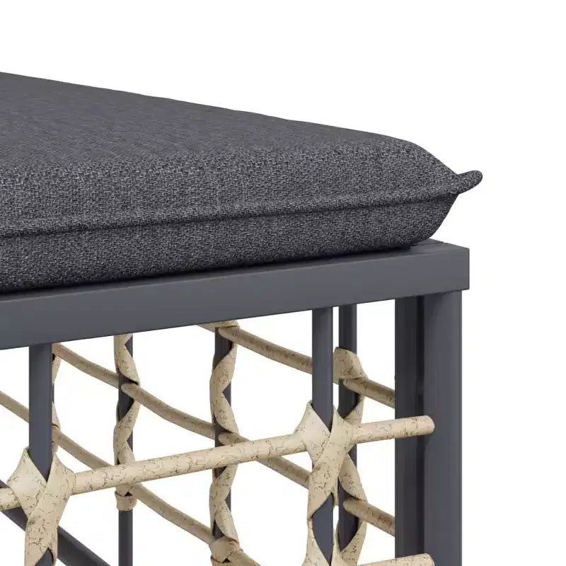 vidaXL Ensemble de salon de jardin anthracite