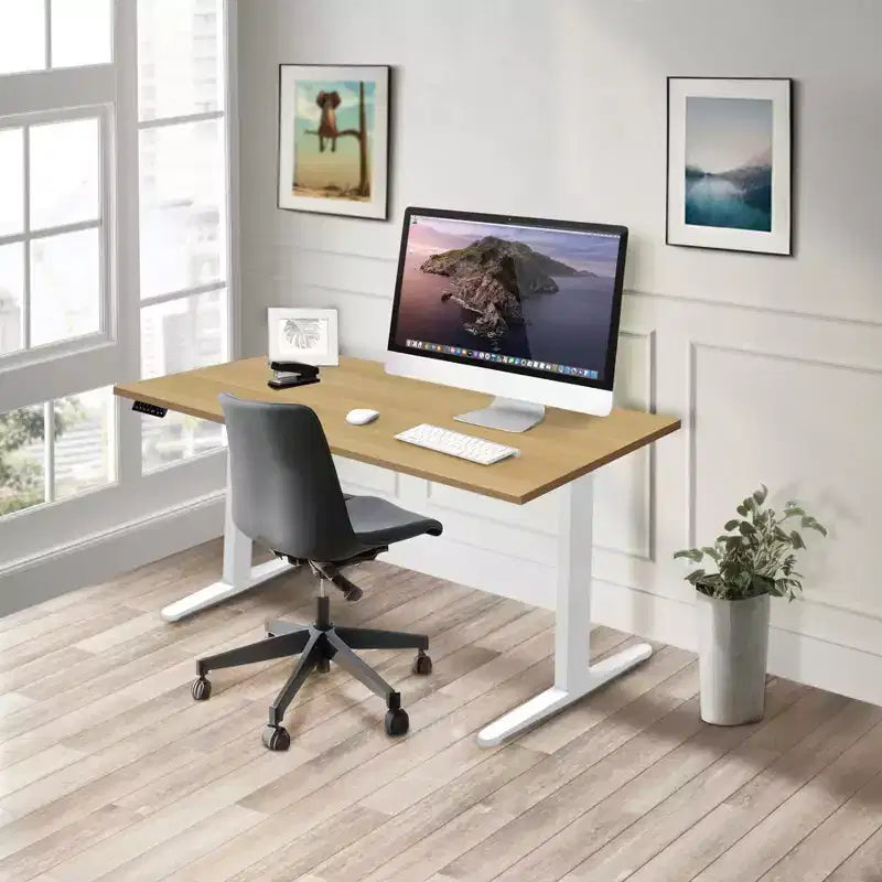 Bureau assis-debout électrique à deux moteurs avec plateau de 55 pouces, érable et blanc